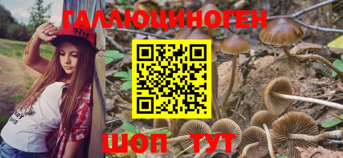 Сухой Лог  Галлюциногенные грибы мухоморы  Вход с VPN 